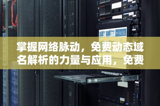 掌握网络脉动，免费动态域名解析的力量与应用，免费动态域名解析哪个好