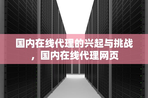 国内在线代理的兴起与挑战，国内在线代理网页