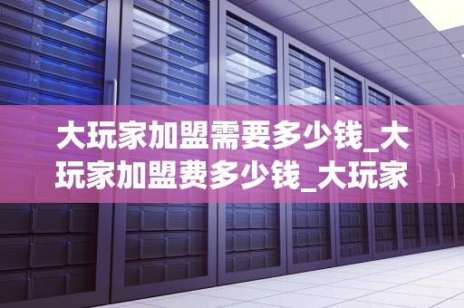 大玩家加盟需要多少钱_大玩家加盟费多少钱_大玩家加盟需要多少钱？