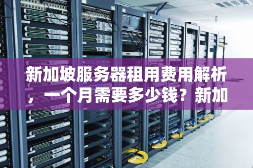 新加坡服务器租用费用解析，一个月需要多少钱？新加坡 服务器租用多少钱一个月啊