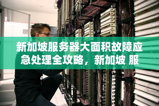 新加坡服务器大面积故障应急处理全攻略，新加坡 服务器大面积故障怎么处理好的