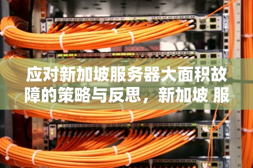 应对新加坡服务器大面积故障的策略与反思，新加坡 服务器大面积故障怎么办啊视频