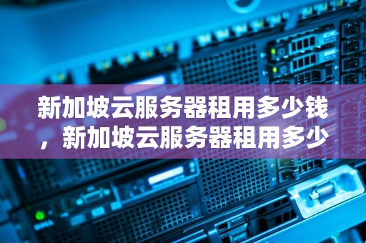 新加坡云服务器租用多少钱，新加坡云服务器租用多少钱一个月