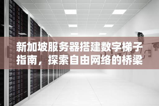 新加坡服务器搭建数字梯子指南，探索自由网络的桥梁，新加坡 服务器