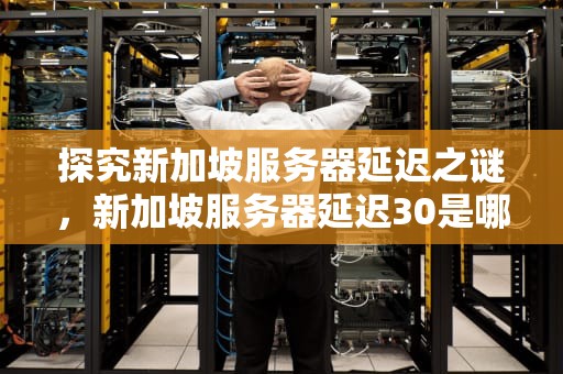 探究新加坡服务器延迟之谜，新加坡服务器延迟30是哪里问题