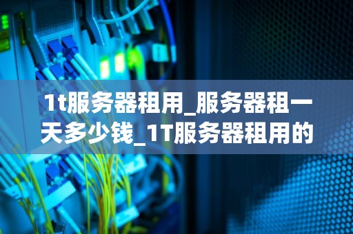 1t服务器租用_服务器租一天多少钱_1T服务器租用的全面解析