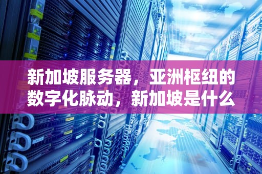 新加坡服务器，亚洲枢纽的数字化脉动，新加坡是什么服务器啊