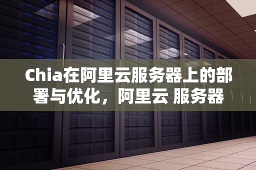 Chia在阿里云服务器上的部署与优化，阿里云 服务器