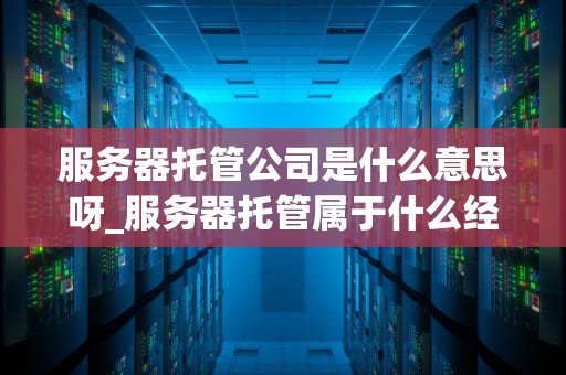 服务器托管公司是什么意思呀_服务器托管属于什么经营范围_服务器托管公司及其重要性