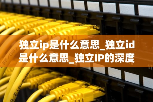 独立ip是什么意思_独立id是什么意思_独立IP的深度解析