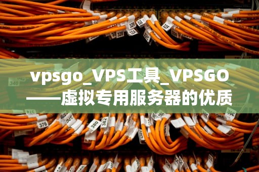 vpsgo_VPS工具_VPSGO——虚拟专用服务器的优质选择