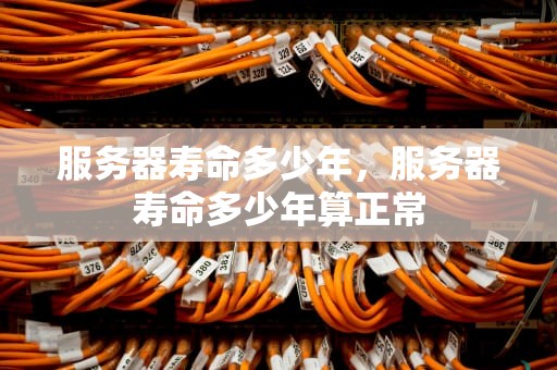 服务器寿命多少年，服务器寿命多少年算正常