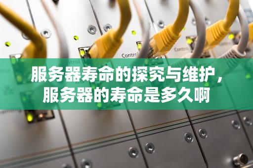 服务器寿命的探究与维护，服务器的寿命是多久啊