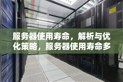 服务器使用寿命，解析与优化策略，服务器使用寿命多少年正常啊知乎