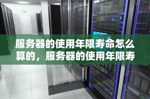服务器的使用年限寿命怎么算的，服务器的使用年限寿命怎么算的啊