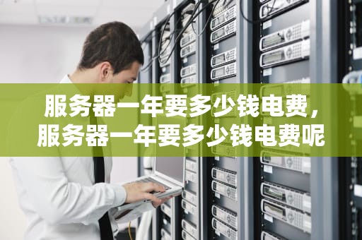 服务器一年要多少钱电费，服务器一年要多少钱电费呢