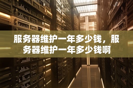 服务器维护一年多少钱，服务器维护一年多少钱啊