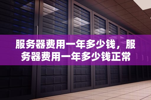 服务器费用一年多少钱，服务器费用一年多少钱正常