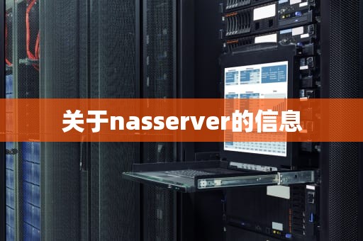 关于nasserver的信息
