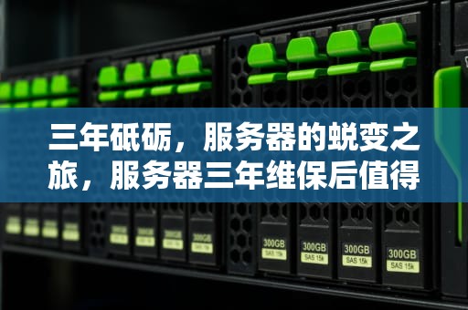 三年砥砺，服务器的蜕变之旅，服务器三年维保后值得买整机维保吗
