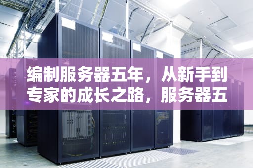 编制服务器五年，从新手到专家的成长之路，服务器五年可以考公务员吗