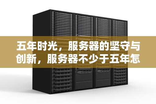 五年时光，服务器的坚守与创新，服务器不少于五年怎么办