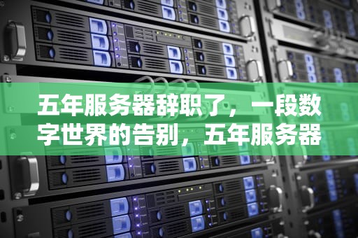 五年服务器辞职了，一段数字世界的告别，五年服务器辞职了还能进吗
