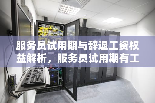服务员试用期与辞退工资权益解析，服务员试用期有工资吗给我辞退有没有工资