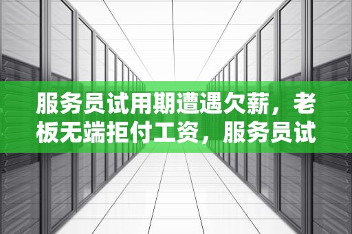 服务员试用期遭遇欠薪，老板无端拒付工资，服务员试用期过了老板不给钱怎么办