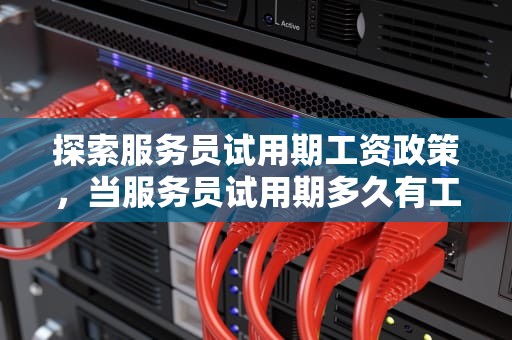 探索服务员试用期工资政策，当服务员试用期多久有工资啊