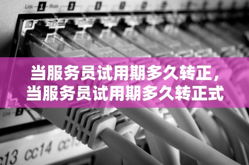 当服务员试用期多久转正，当服务员试用期多久转正式员工