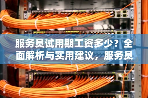 服务员试用期工资多少？全面解析与实用建议，服务员试用期工资多少一天啊