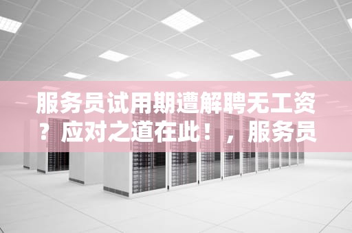 服务员试用期遭解聘无工资？应对之道在此！，服务员试用期被辞退不给工资怎么办呢