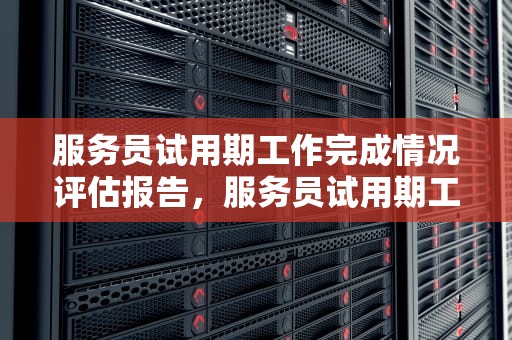 服务员试用期工作完成情况评估报告，服务员试用期工作完成情况怎么写