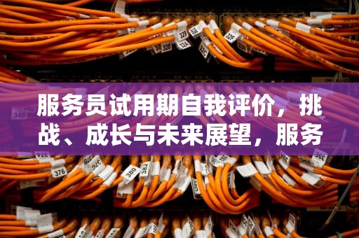 服务员试用期自我评价，挑战、成长与未来展望，服务员试用期自我评价怎么写