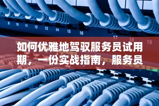 如何优雅地驾驭服务员试用期，一份实战指南，服务员试用期怎么做工作