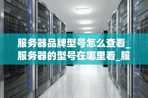 服务器品牌型号怎么查看_服务器的型号在哪里看_服务器品牌型号的查看方法