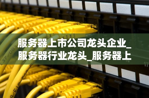 服务器上市公司龙头企业_服务器行业龙头_服务器上市公司龙头企业的崛起与发展
