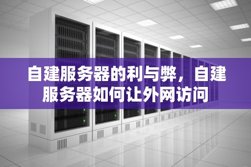 自建服务器的利与弊，自建服务器如何让外网访问