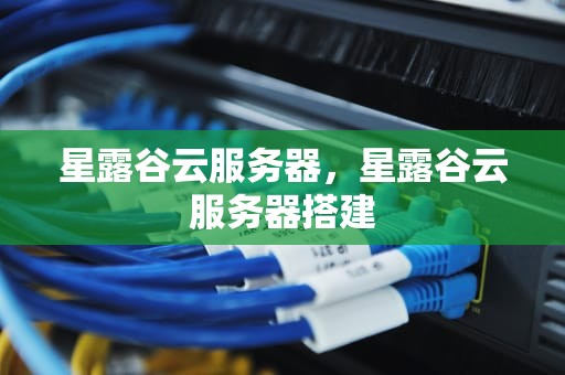 星露谷云服务器，星露谷云服务器搭建