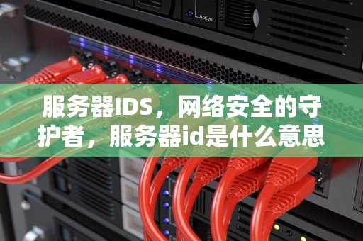 服务器IDS，网络安全的守护者，服务器id是什么意思