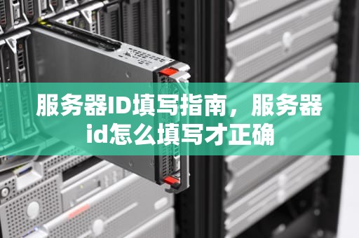 服务器ID填写指南，服务器id怎么填写才正确