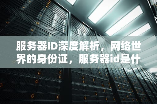 服务器ID深度解析，网络世界的身份证，服务器id是什么意思啊