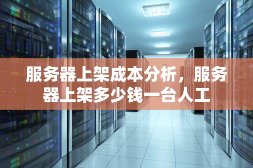 服务器上架成本分析，服务器上架多少钱一台人工
