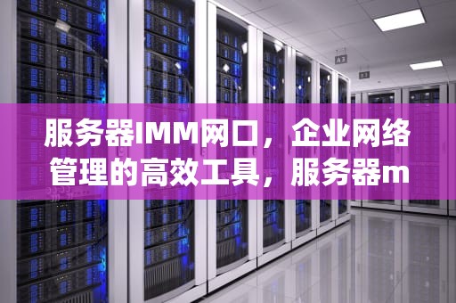 服务器IMM网口，企业网络管理的高效工具，服务器mgmt口