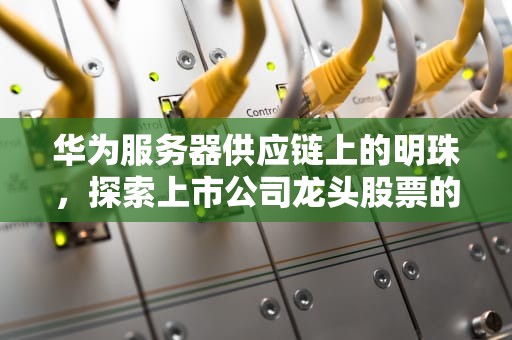 华为服务器供应链上的明珠，探索上市公司龙头股票的投资价值，华为服务器上市公司龙头股票有哪三家