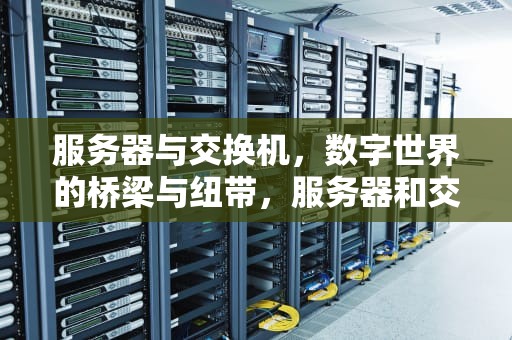 服务器与交换机，数字世界的桥梁与纽带，服务器和交换机的关系如何获取