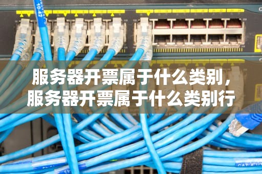 服务器开票属于什么类别，服务器开票属于什么类别行业