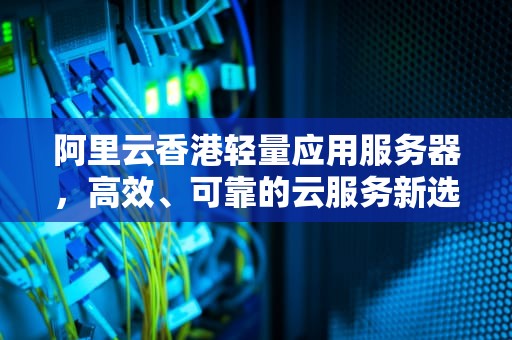 阿里云香港轻量应用服务器，高效、可靠的云服务新选择，阿里云香港轻量应用服务器可以打开谷歌吗