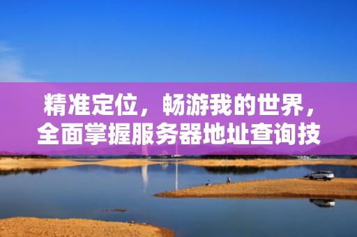 精准定位，畅游我的世界，全面掌握服务器地址查询技巧，我的世界服务器地址查询网站